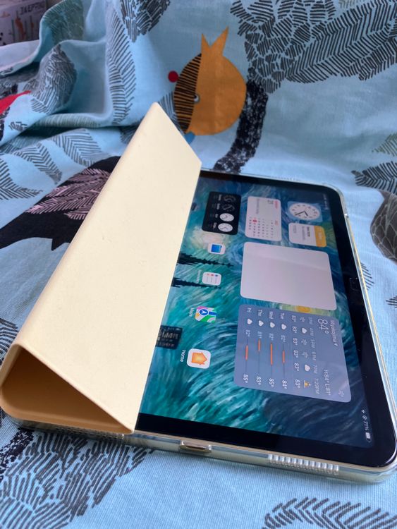 iPad 1064Gb ޡȥСݸե