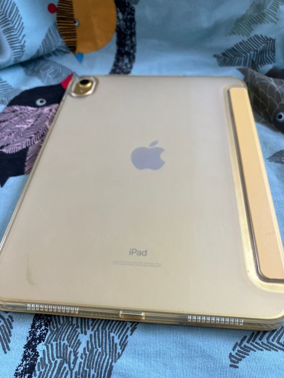 iPad 1064Gb ޡȥСݸե