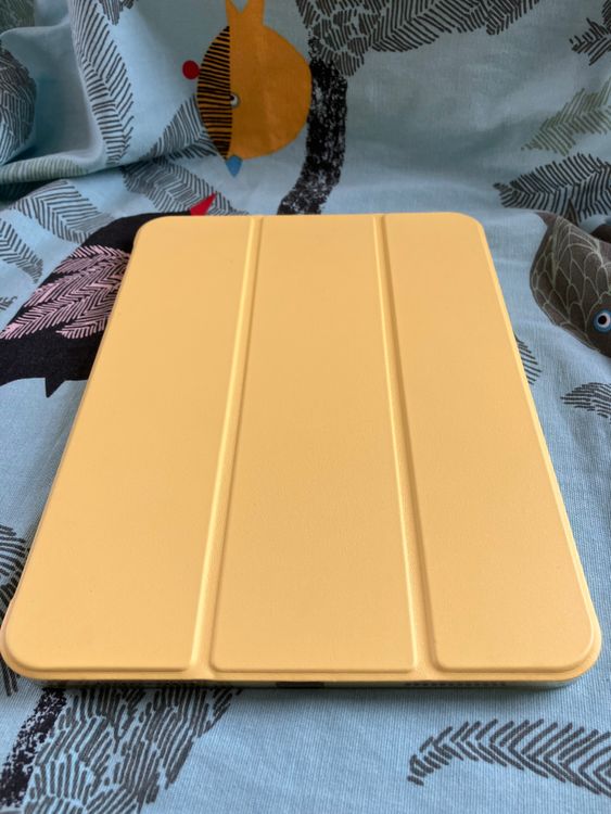 iPad 1064Gb ޡȥСݸե