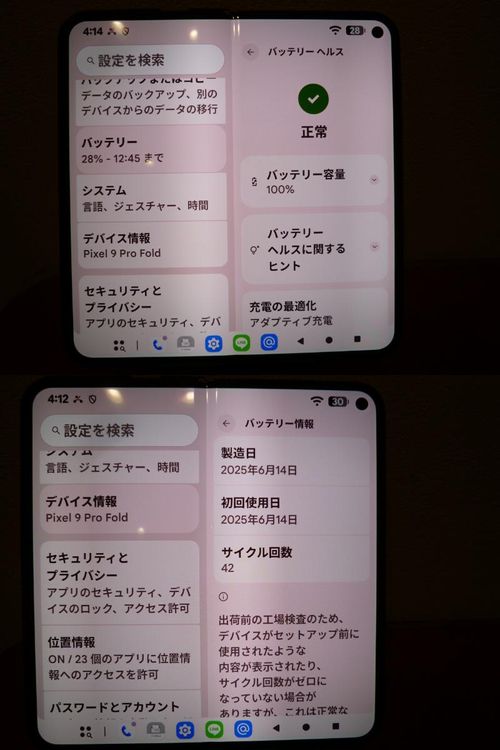 ��Ķ����/Ƚ�꡻�� Google Pixel 9 Pro Fold �̥Хåƥ꡼Ķͥ�ɡ�