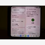 ����/Ƚ�꡻ SoftBank Pixel 9 Pro Fold �ڥХåƥ꡼Ķͥ�ɡ� ���ޤ���