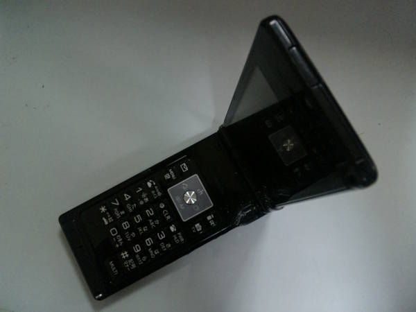 ����̵����NTT Docomo P905i���ɥ��⡡P������i