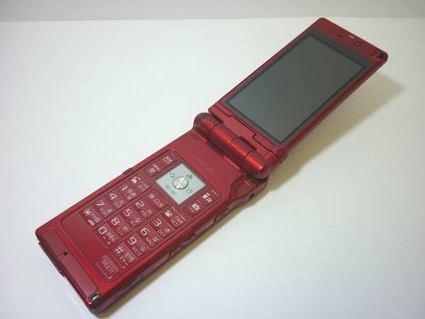 ����� �������եȡ�P905�� ��å� ���/���� #1454