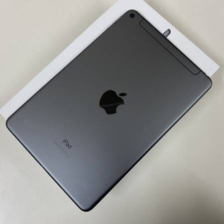 ��SIM�ե꡼��Apple iPad mini 5 Cellular 256GB ���ڡ������쥤