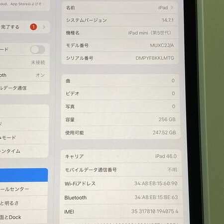 ��SIM�ե꡼��Apple iPad mini 5 Cellular 256GB ���ڡ������쥤
