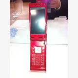 �����⿷��Ź������docomo��P905i����åɡ��������ò�