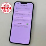 ХԾSIMե꡼ĶʡiPhone13 Pro Max 256GB100%֥롼