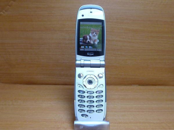 �ڥ�Х���Ծ����š�docomo��N900iL���ɥ�����ʰ¡��������Ρ�����������̵��(6)