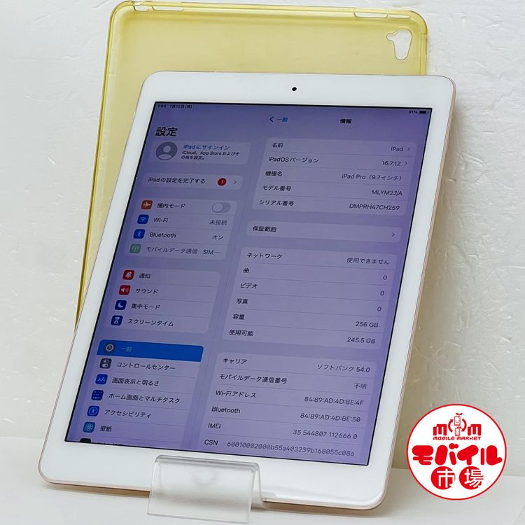 ��Х���Ծ��SIM�ե꡼�����ʡ������� iPad Pro 9.7����� 256GB ��1����