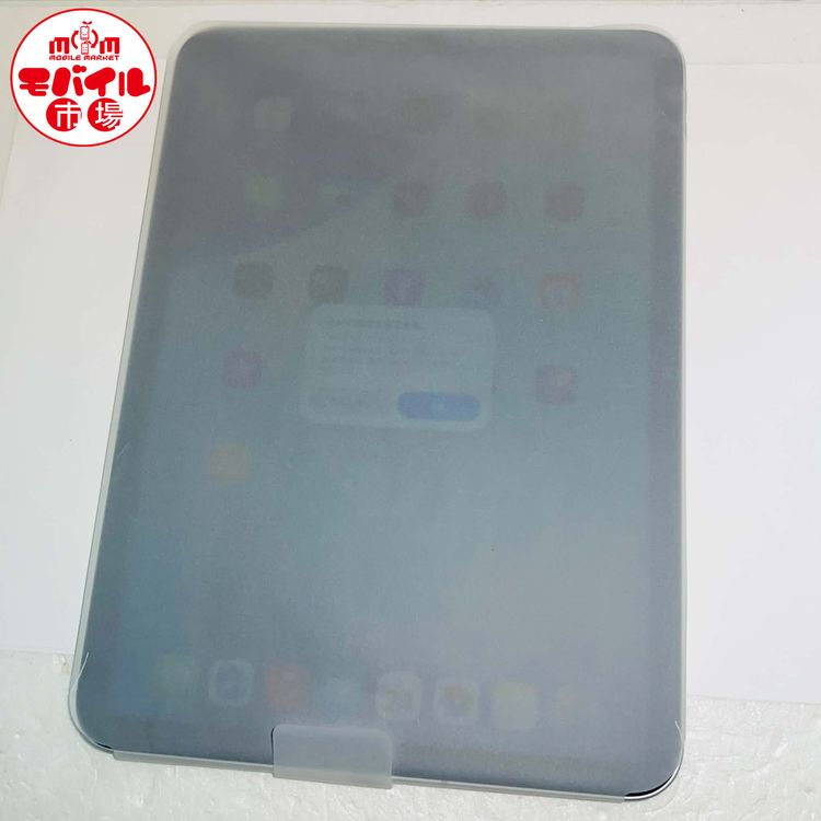 ��Х���Ծ��SIM�ե꡼�����ʸ��ʡ�iPad(A16) ��11���� 128GB��Cellular