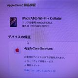��Х���Ծ��SIM�ե꡼�����ʸ��ʡ�iPad(A16) ��11���� 128GB��Cellular