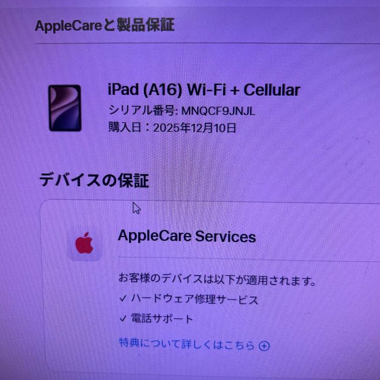 ��Х���Ծ��SIM�ե꡼�����ʸ��ʡ�iPad(A16) ��11���� 128GB��Cellular
