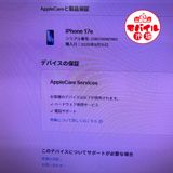 ��Х���Ծ��SIM�ե꡼������̤���ѡ�iPhone17e 256GB���ۥ磻�ȡ�����̵��