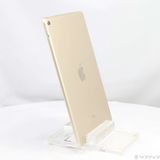 Apple iPad Pro ������� Wi-Fi ����Ʊ�͡�����100�� ���ť����֥���