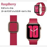  Apple Watch 40MM MXPC2FE/A Raspberry L