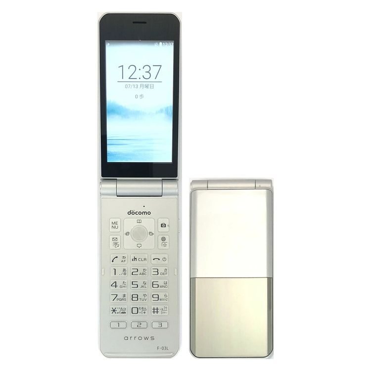 Х֡A󥯡FUJITSU arrows  F-03L С docomo