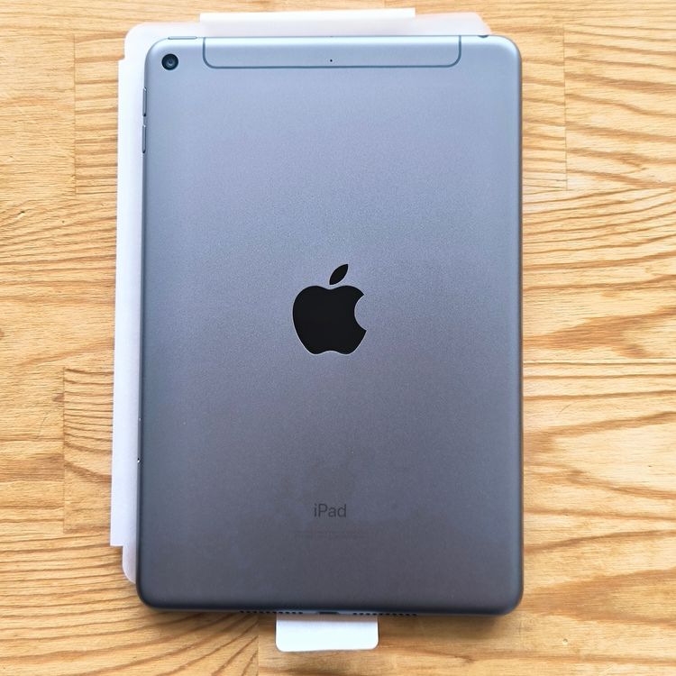 SIMե꡼ iPad mini 5 64GB ڡ쥤