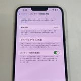 ��������С�����100% iPhone13Pro Max 256GB ���� ��Ƚ�� ������� �ò�