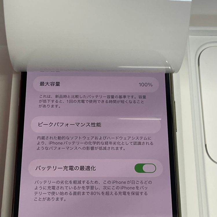 ��������С�����100% iPhone14Pro Max 512GB ����Ʊ�� ������� �ò�