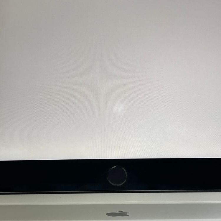 СiPad Air3 Wi-Fi 256GB  쥤 ò