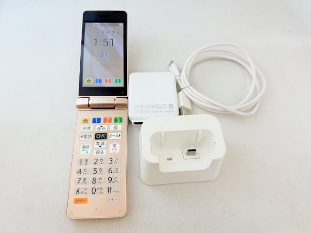 SIMե꡼5111005DڿƱۤ͡󤿤11/A207SH()