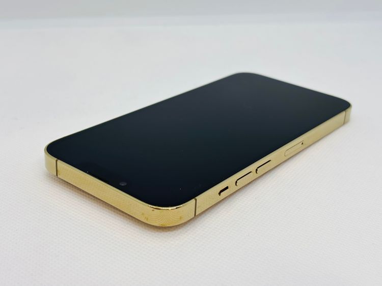 510013UͥʡiPhone13Pro 1TB ()SIMե꡼