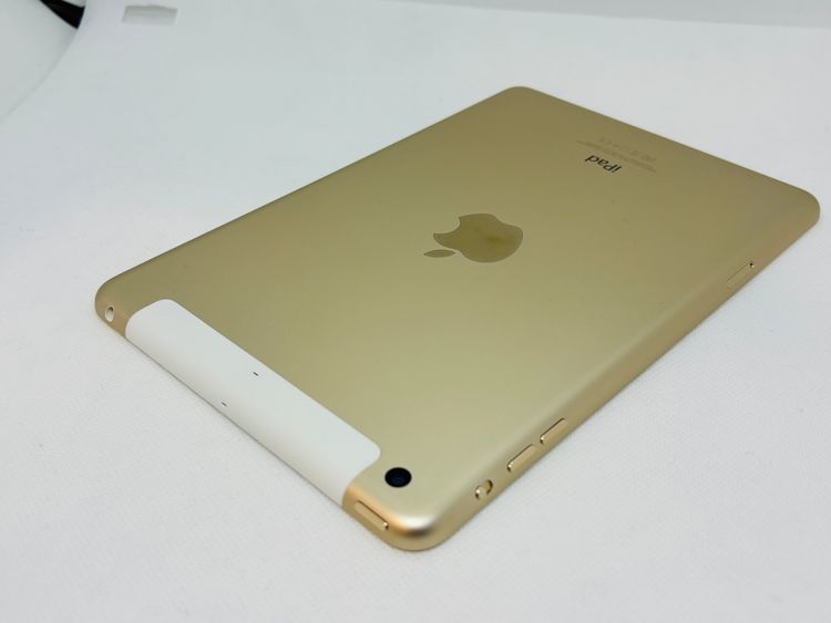 602022U��Ķ���ʡ� iPad mini 3 16GB(�������)au��