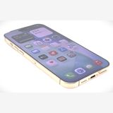 609020U��Ķ���ʡ�iPhone 16ProMax 256GB(�ǥ����ȥ����˥���)SIM�ե꡼