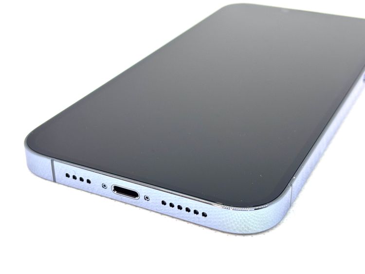 Bt95��Ÿ����512009U��ͥ�����ʡ�iPhone13ProMax 128GB(�֥롼)