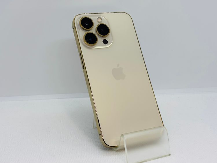 510013UͥʡiPhone13Pro 1TB ()SIMե꡼