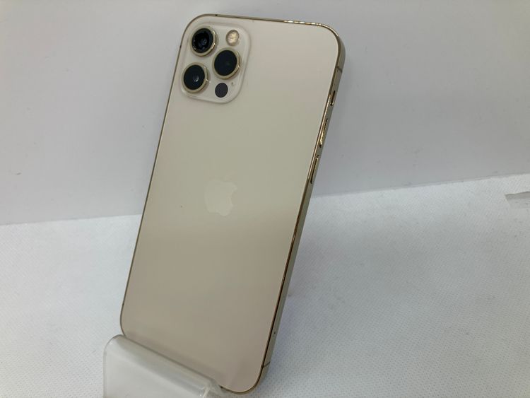 601014U�ڥ�����ʡ�iPhone12Pro 256GB(�������)
