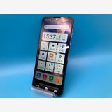 6091019D��Ķ���ʡ�BASIOactive/SHG09(�֥롼)