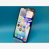 6081010D��Ķ���ʡ�iPhone11Pro Max 256GB(�������)