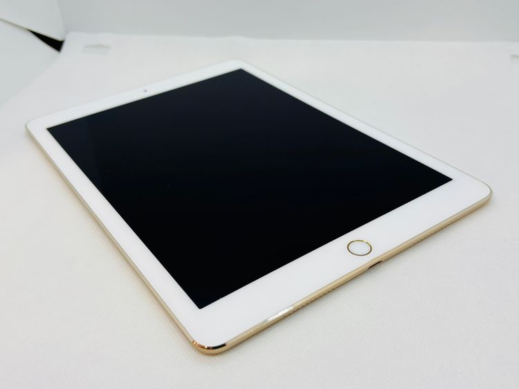 510003UʡiPadPro 9.7 32GB()SIMե꡼