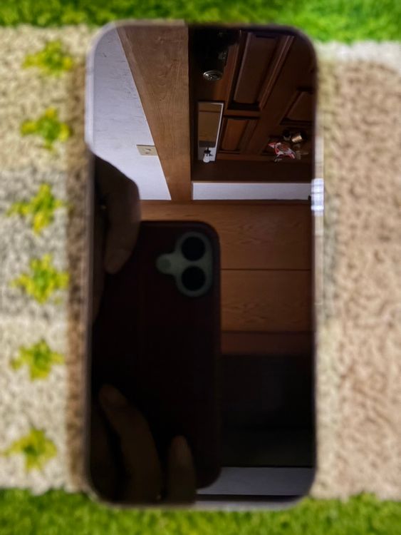 ��iPhone14 pro 256GB �ǥ����ץѡ��ץ� SIM�ե꡼������