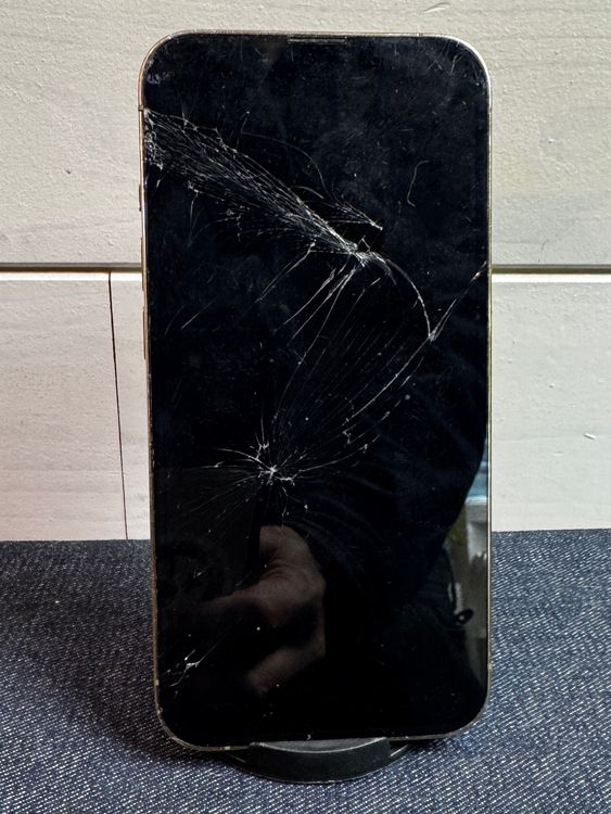 iPhone 13 Pro 256GB ξ�̳�졦�����ƥ��١����Բġ����ʼ����