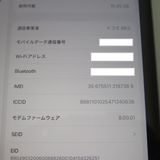 iPad 8 Wi-Fi��Cellular 32GB ���ڡ������쥤 �����