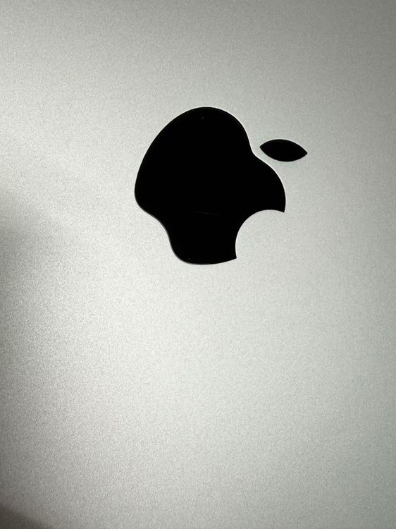 ������ SIM�ե꡼ iPad Air(��4����) 256GB ���꡼�� �������