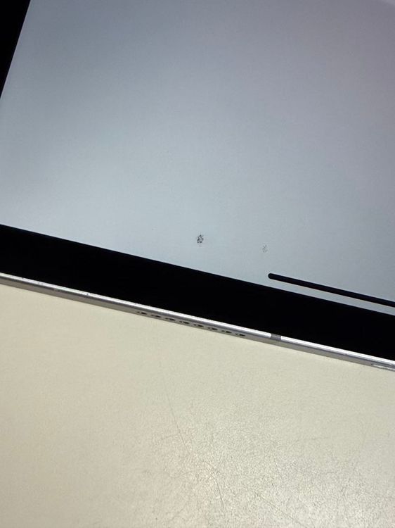 ����86�� SIM�ե꡼ iPad Pro  11����� (��4����)  256GB