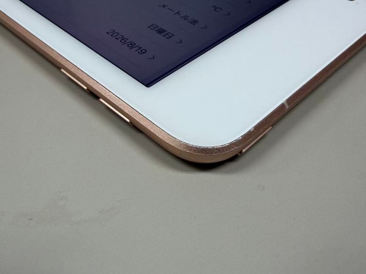 ����79% SIM�ե꡼iPad mini(��5����)  256GB �������