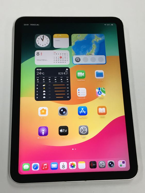 ��ư�����SIM�ȥ졼���ʡ�����87�� iPad mini ��6���� SIM�ե꡼ 256GB