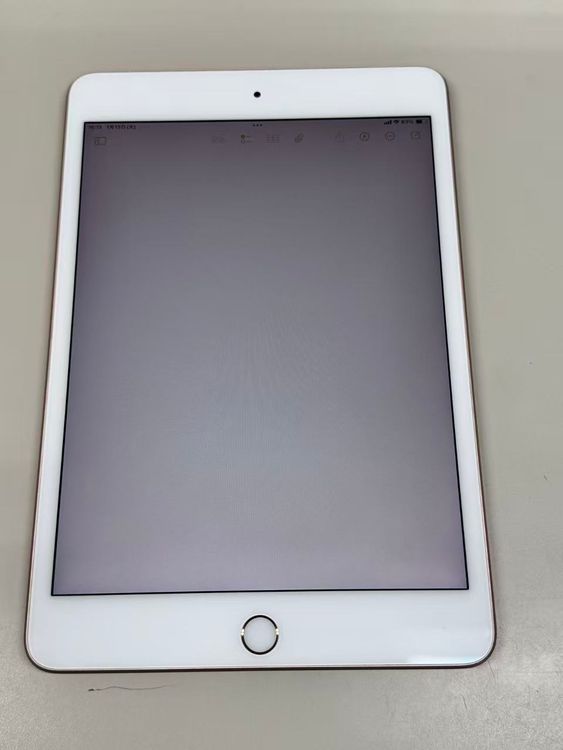 ���� SIM�ե꡼iPad mini(��5����)  256GB  �������