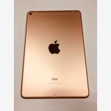 ڥХBOXư 80 SIMե꡼ iPad mini 5 256GB 