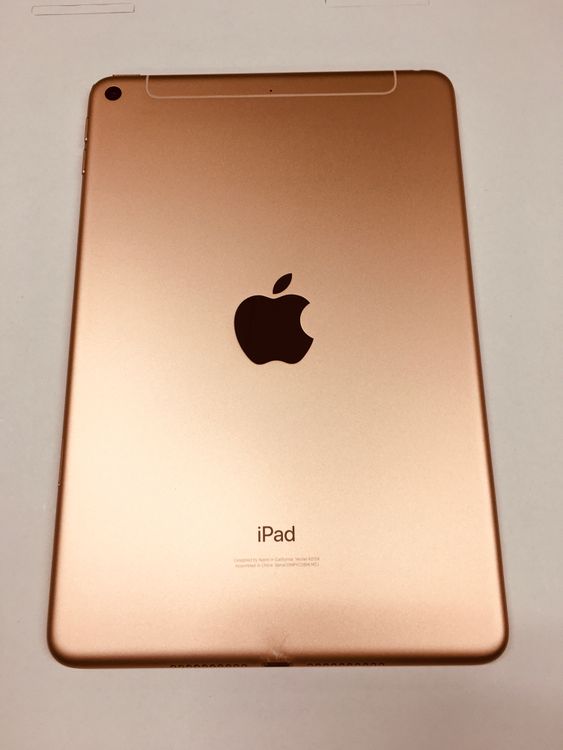 ڥХBOXư 80 SIMե꡼ iPad mini 5 256GB 