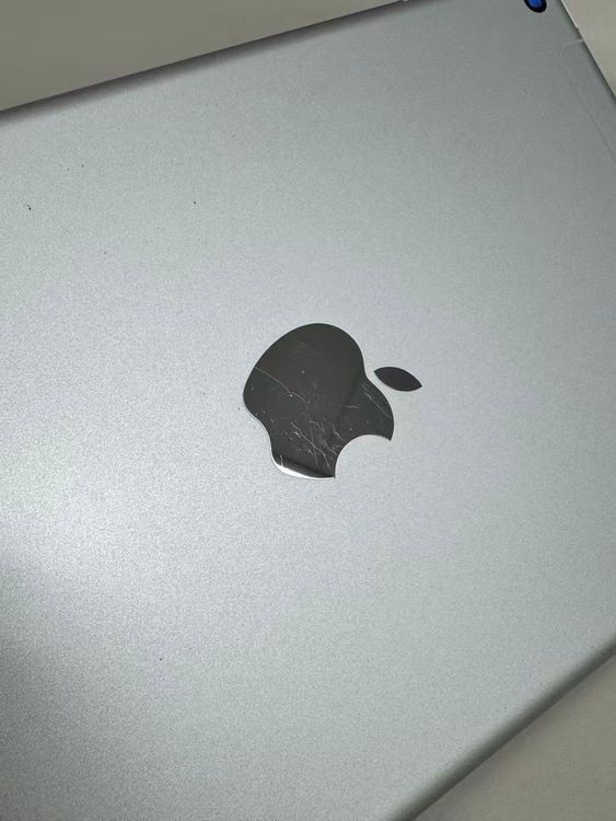 ����87�� SIM�ե꡼�� iPad mini5   256GB������С�