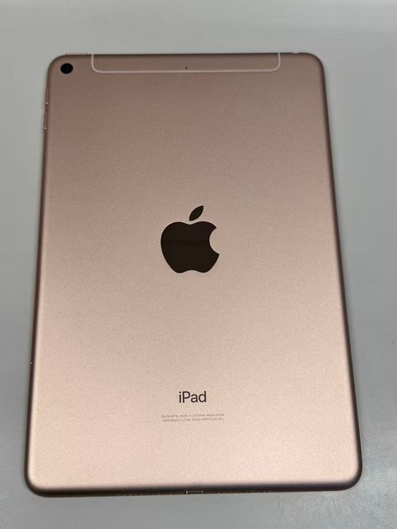 ���� SIM�ե꡼iPad mini(��5����)  256GB  �������