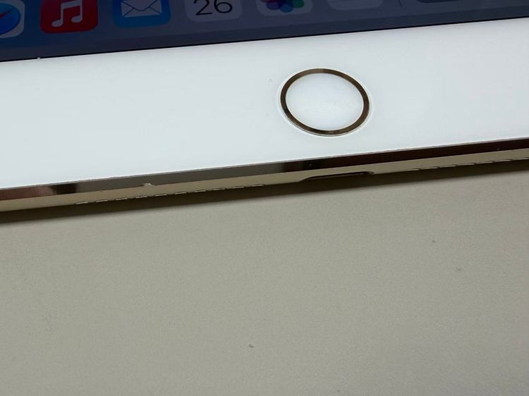 ����89% ������SIM�ե꡼ iPad mini ��4���� 32GB ���������