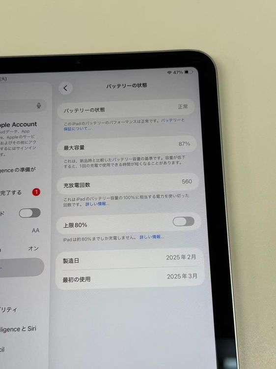 ����87�� iPad mini(A17 Pro) Wi-Fi��ǥ� 128GB ���ڡ������쥤