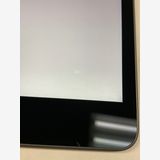  89% apple iPad mini (5) 256GB ڡ WiFi
