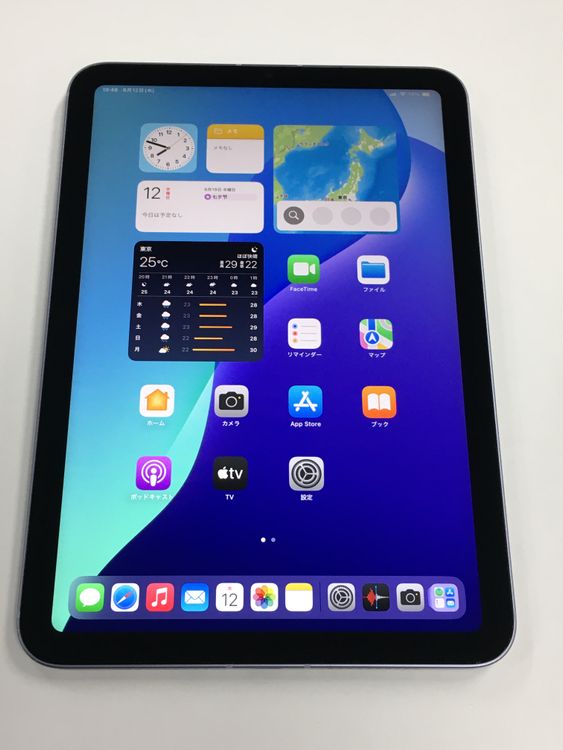 �ڥ�Х���BOX������ ����91�� iPad mini ��6���� SIM�ե꡼ 256GB �ѡ��ץ�
